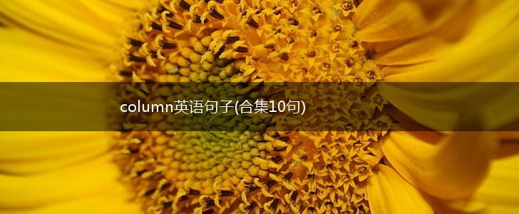 column英语句子(合集10句),第1张