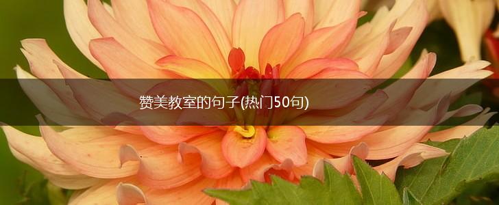 赞美教室的句子(热门50句),第1张