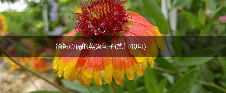简短心痛的英语句子(热门40句),第1张