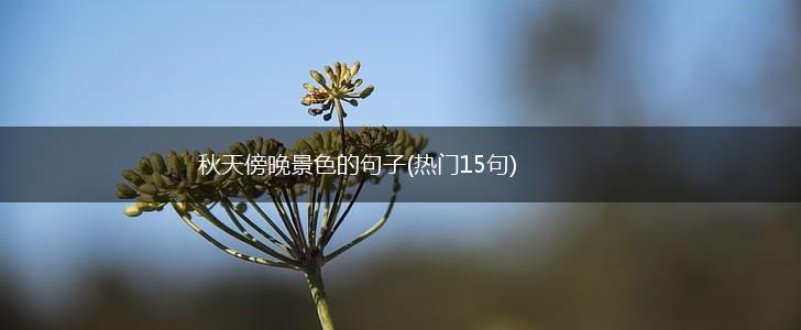 秋天傍晚景色的句子(热门15句),第1张