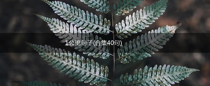 1公里句子(合集40句),第1张
