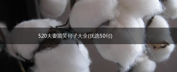 520夫妻搞笑句子大全(优选50句),第1张