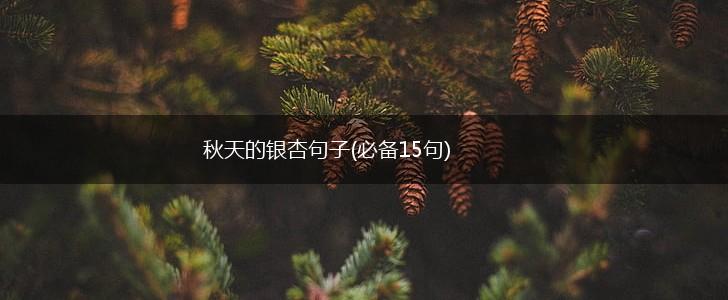 秋天的银杏句子(必备15句),第1张