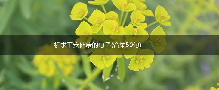 祈求平安健康的句子(合集50句),第1张