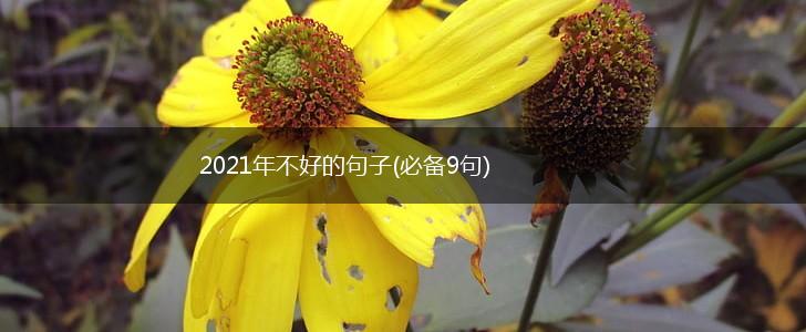 2021年不好的句子(必备9句),第1张