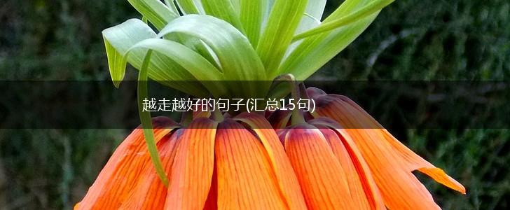 越走越好的句子(汇总15句),第1张