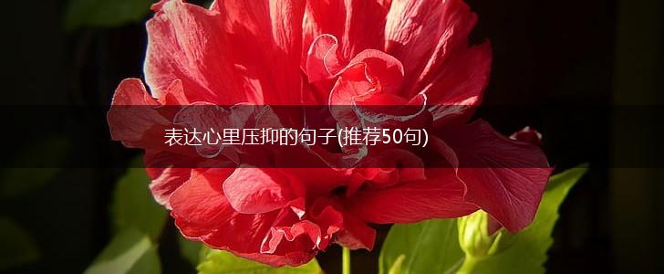 表达心里压抑的句子(推荐50句),第1张