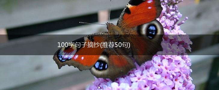 100字句子摘抄(推荐50句),第1张