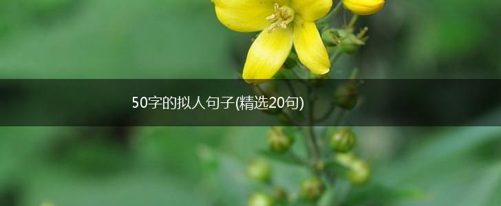 50字的拟人句子(精选20句),第1张