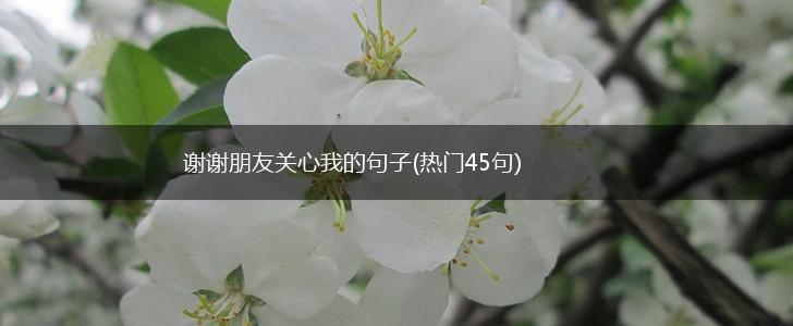 谢谢朋友关心我的句子(热门45句),第1张