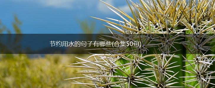 节约用水的句子有哪些(合集50句),第1张