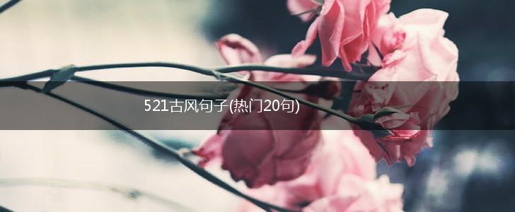 521古风句子(热门20句),第1张