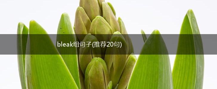 bleak组句子(推荐20句),第1张
