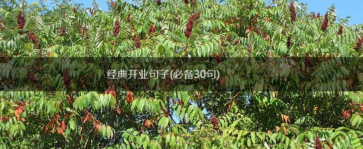经典开业句子(必备30句),第1张