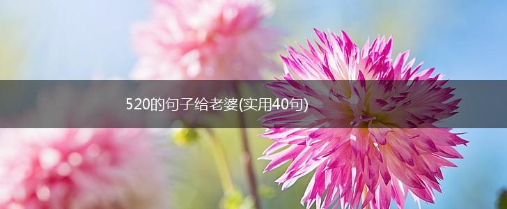520的句子给老婆(实用40句),第1张