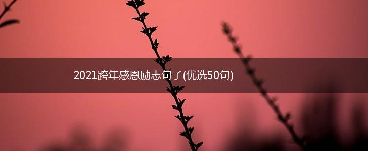 2021跨年感恩励志句子(优选50句),第1张
