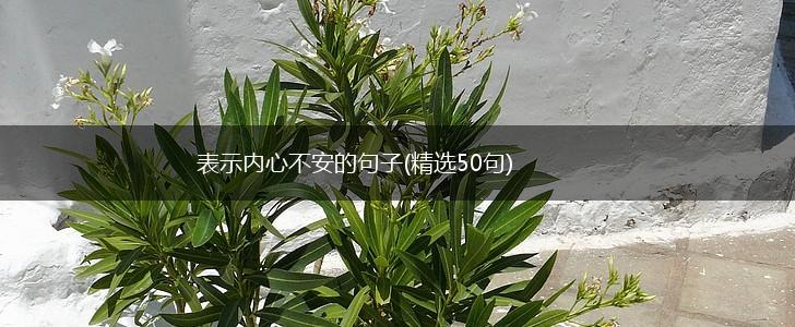 表示内心不安的句子(精选50句),第1张