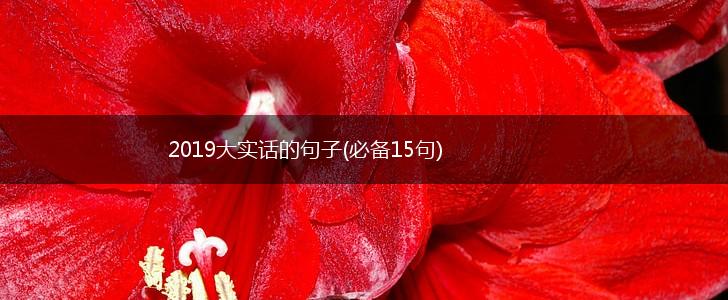 2019大实话的句子(必备15句),第1张