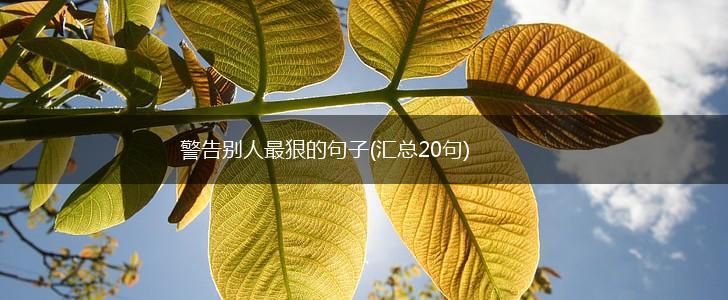 警告别人最狠的句子(汇总20句),第1张