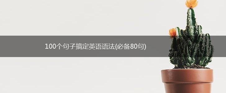 100个句子搞定英语语法(必备80句),第1张