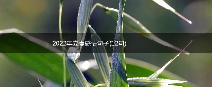 2022年立夏感悟句子(12句),第1张