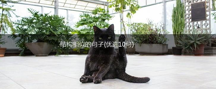 结构相似的句子(优选10句),第1张