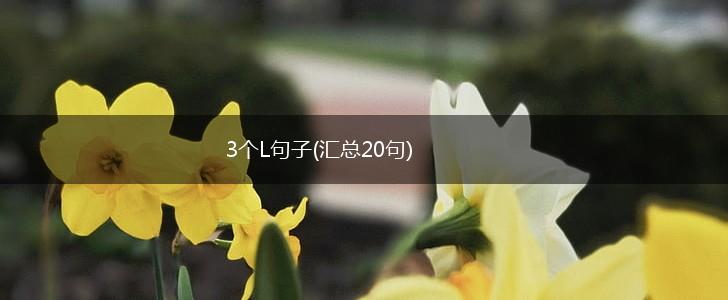 3个L句子(汇总20句),第1张