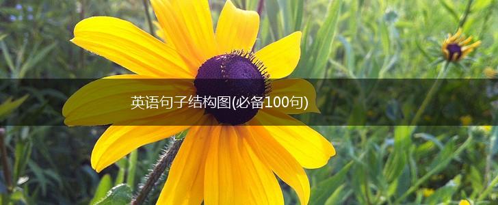 英语句子结构图(必备100句),第1张