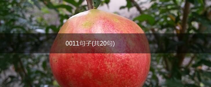 0011句子(共20句),第1张