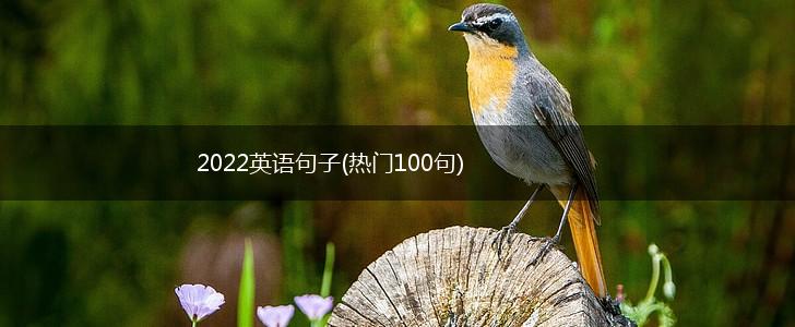 2022英语句子(热门100句),第1张
