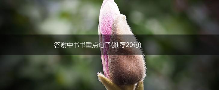 答谢中书书重点句子(推荐20句),第1张