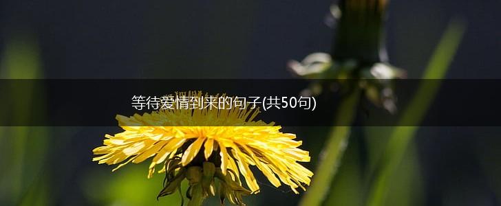 等待爱情到来的句子(共50句),第1张