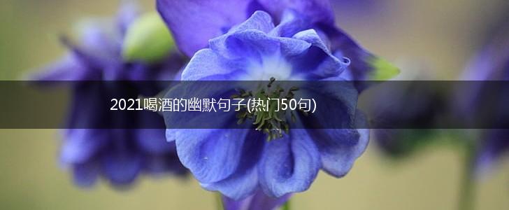 2021喝酒的幽默句子(热门50句),第1张