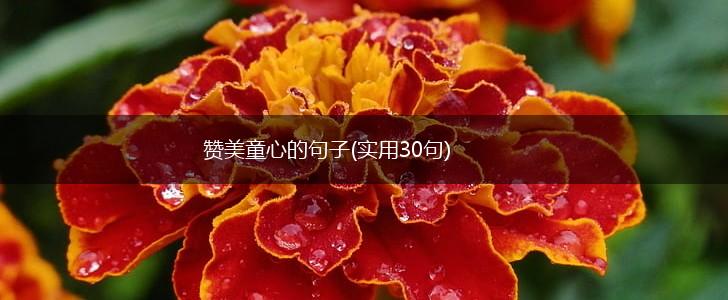赞美童心的句子(实用30句),第1张