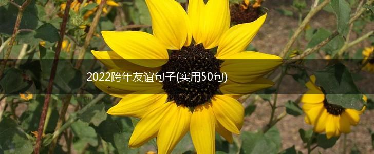 2022跨年友谊句子(实用50句),第1张