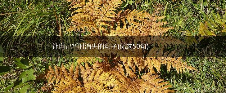 让自己暂时消失的句子(优选50句),第1张
