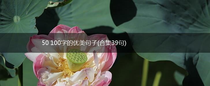 50 100字的优美句子(合集39句),第1张