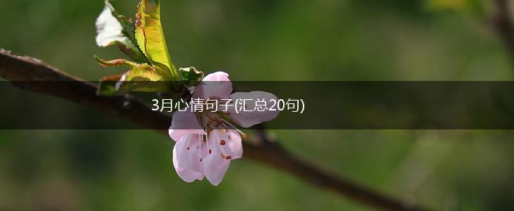 3月心情句子(汇总20句),第1张