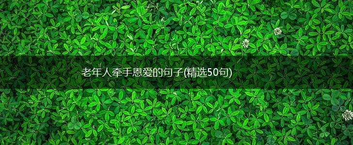 老年人牵手恩爱的句子(精选50句),第1张