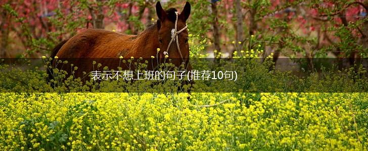 表示不想上班的句子(推荐10句),第1张