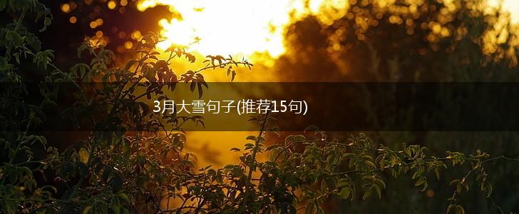3月大雪句子(推荐15句),第1张