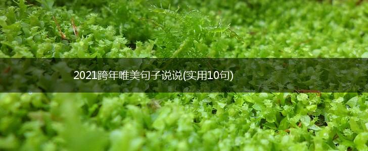 2021跨年唯美句子说说(实用10句),第1张