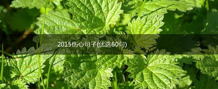 2015伤心句子(优选60句),第1张