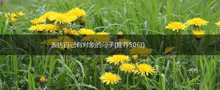 表达自己有对象的句子(推荐50句),第1张