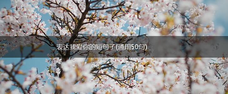 表达我爱你的短句子(通用50句),第1张