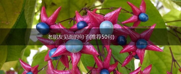 老朋友见面的句子(推荐50句),第1张