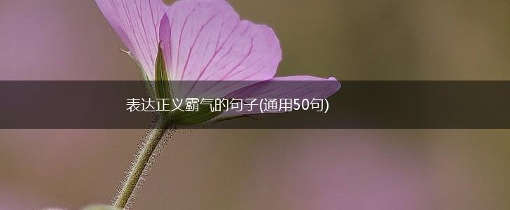 表达正义霸气的句子(通用50句),第1张
