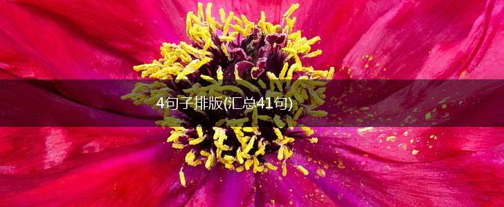 4句子排版(汇总41句),第1张