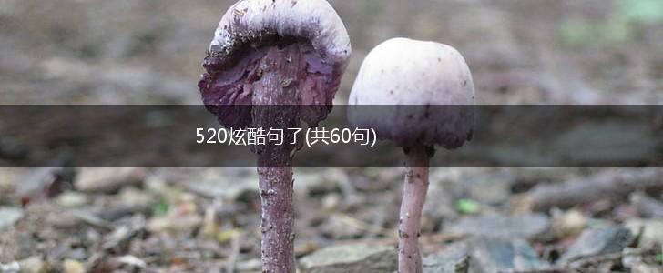 520炫酷句子(共60句),第1张
