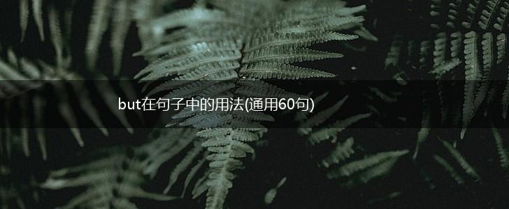but在句子中的用法(通用60句),第1张